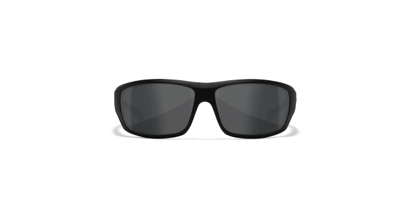 Wiley X WX Omega Black Ops Balistik Gözlük, Polarize Gri Lens (Siyah)