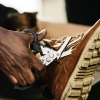 Leatherman Raptor Rescue Çok Amaçlı Makas (Kırmızı/Siyah)