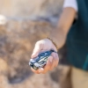 Leatherman Signal Çok Amaçlı Pense (Tundrascape)