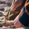Leatherman Wave Alpha Çok Amaçlı Pense (Obsidian)