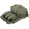 Warrior Assault Systems Assaulters Back Panel Carrier Plaka Taşıyıcı (Od Green)
