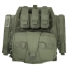 Warrior Assault Systems Assaulters Back Panel Carrier Plaka Taşıyıcı (Od Green)
