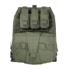 Warrior Assault Systems Assaulters Back Panel Carrier Plaka Taşıyıcı (Od Green)