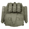 Warrior Assault Systems Assaulters Back Panel Carrier Plaka Taşıyıcı (Ranger Green)