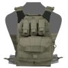 Warrior Assault Systems Assaulters Back Panel Carrier Plaka Taşıyıcı (Ranger Green)
