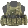 Warrior Assault Systems Ricas Compact G36 Carrier Plaka Taşıyıcı (A-Tacs Fg)