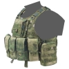 Warrior Assault Systems Ricas Compact M4 Carrier Plaka Taşıyıcı (A-Tacs Fg)