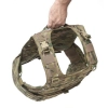 Warrior Assault Systems Ricas Compact Carrier Plaka Taşıyıcı (Multicam)