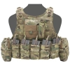 Warrior Assault Systems Ricas Compact Carrier Plaka Taşıyıcı (Multicam)