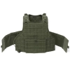 Warrior Assault Systems Ricas Compact Carrier Plaka Taşıyıcı (Od Green)