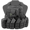 Warrior Assault Systems Raptor AK Carrier Plaka Taşıyıcı (Siyah)