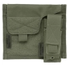 Warrior Assault Systems Raptor 5.56mm Releasable Carrier Plaka Taşıyıcı (Od Green)