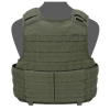 Warrior Assault Systems Raptor G36 Carrier Plaka Taşıyıcı (Od Green)