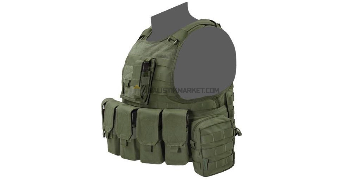Warrior Assault Systems Raptor M4 Carrier Plaka Taşıyıcı (Od Green)