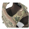 Warrior Assault Systems Raptor Releasable Carrier Plaka Taşıyıcı (Multicam)