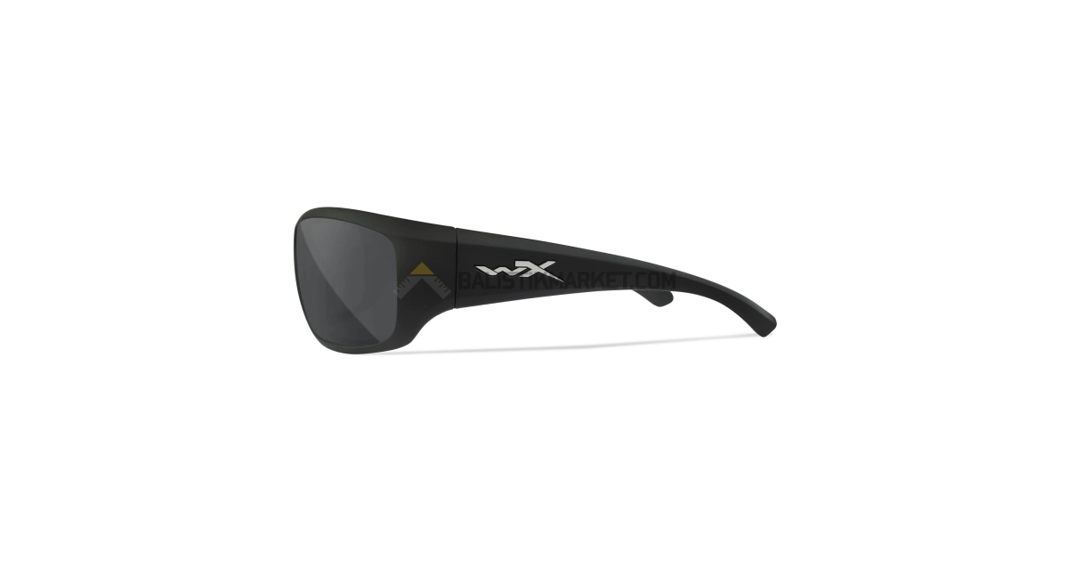 Wiley X WX Omega Black Ops Balistik Gözlük, Polarize Gri Lens (Siyah)
