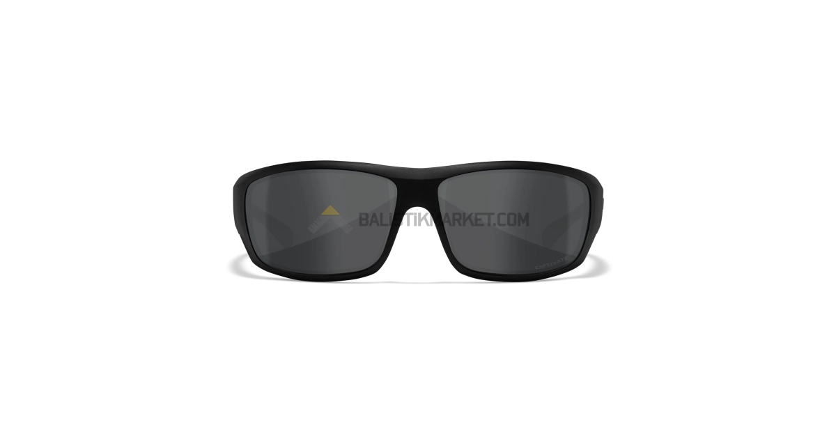 Wiley X WX Omega Black Ops Balistik Gözlük, Polarize Gri Lens (Siyah)
